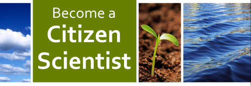 Become a citizen scientist